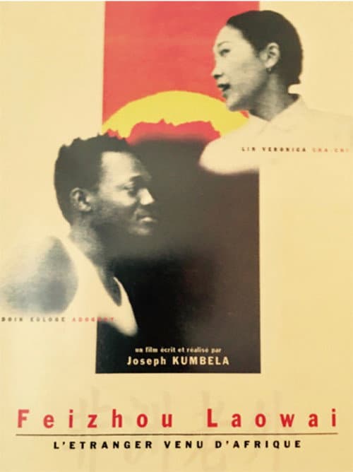 Poster for L'étranger venu d'Afrique