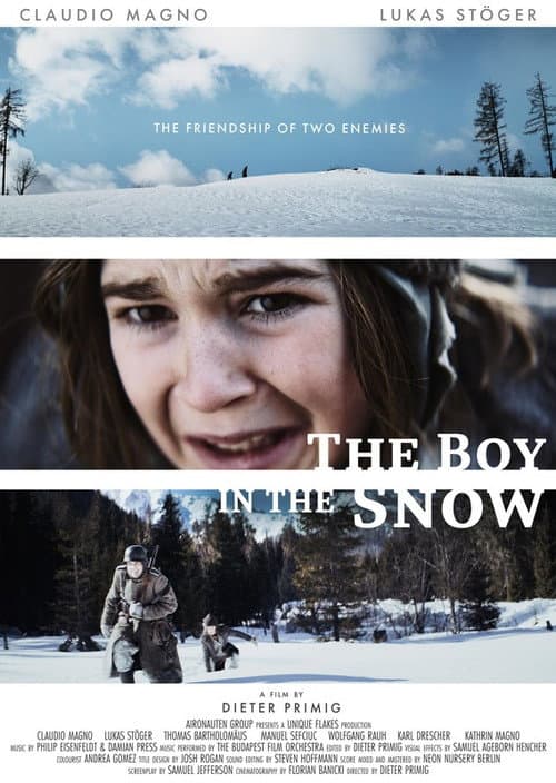 Poster for The Boy in the Snow