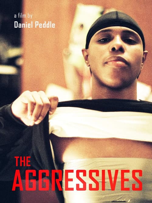 Poster for The Aggressives