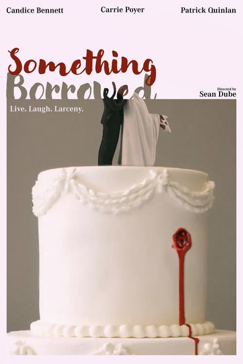 Poster for Something Borrowed