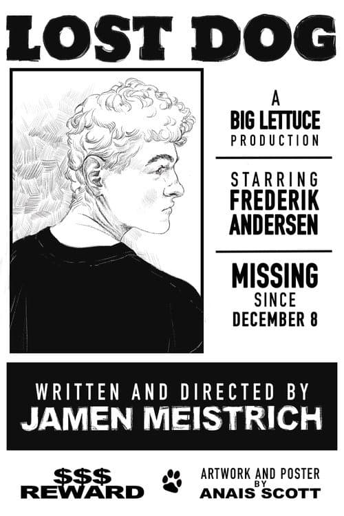 Poster for Lost Dog