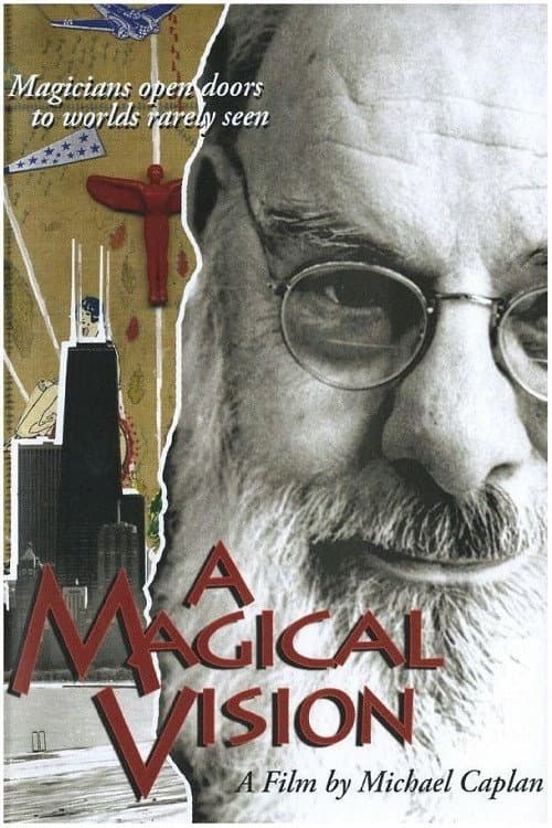 Poster for A Magical Vision