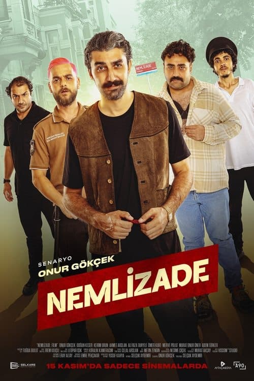 Poster for Nemlizade