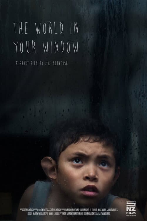 Poster for The World In Your Window