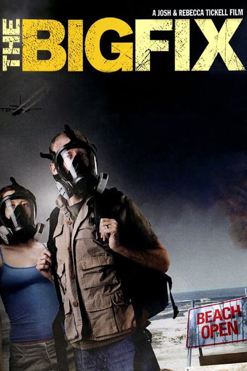 Poster for The Big Fix