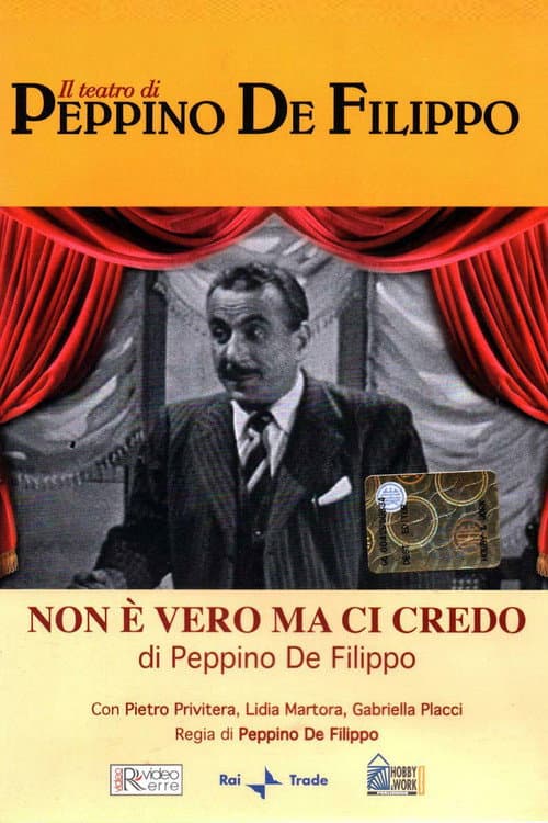 Poster for Non è vero ma ci credo