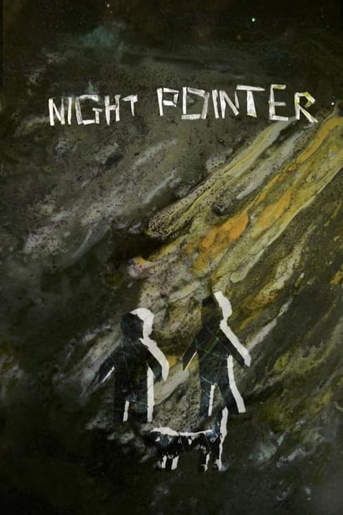Poster for Night Pointer