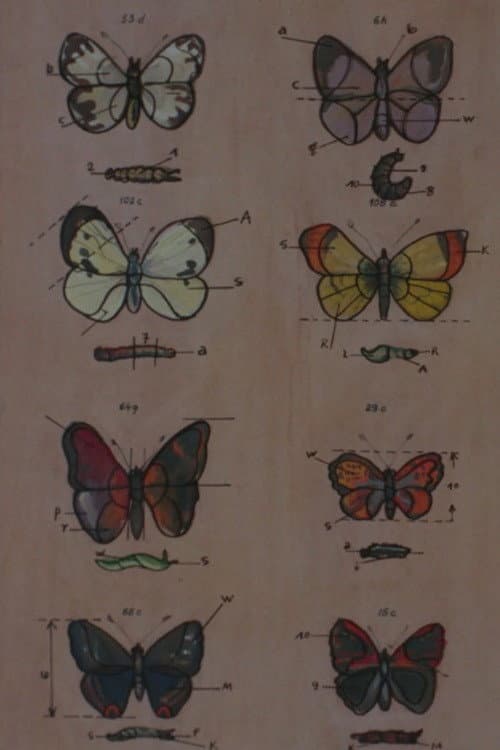 Poster for Lekcja anatomii