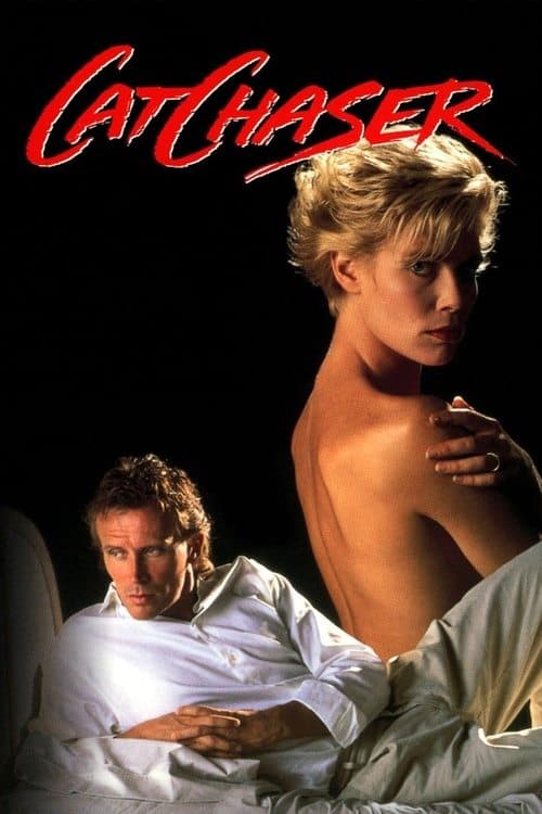 Poster for Cat Chaser