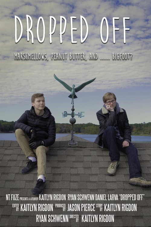 Poster for Dropped Off
