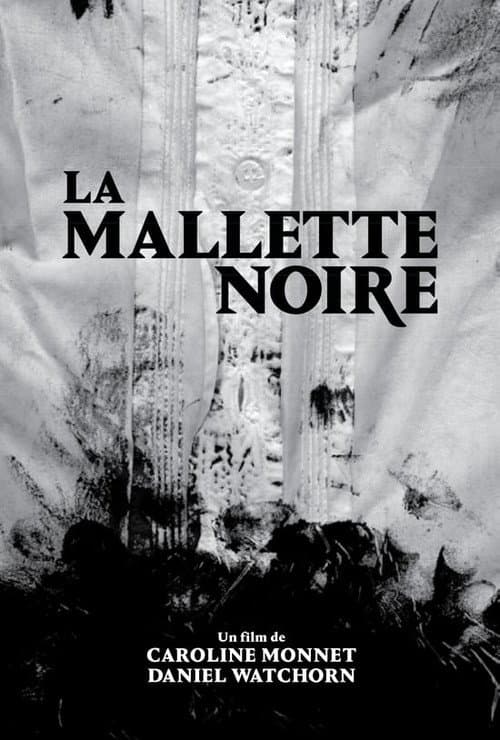 Poster for The Black Case