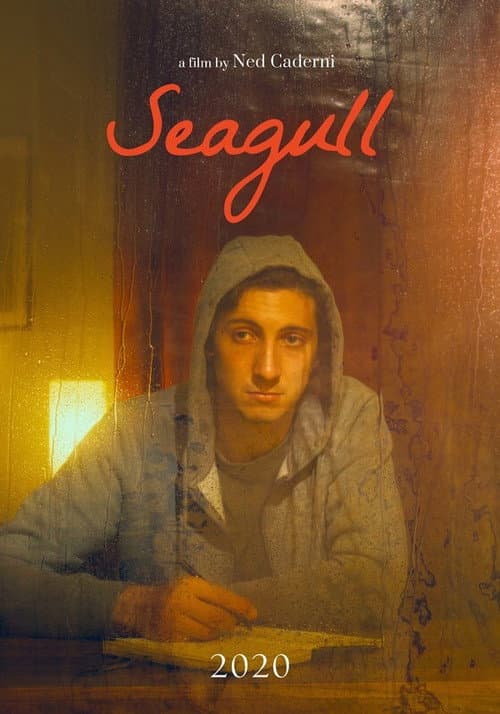 Poster for Seagull
