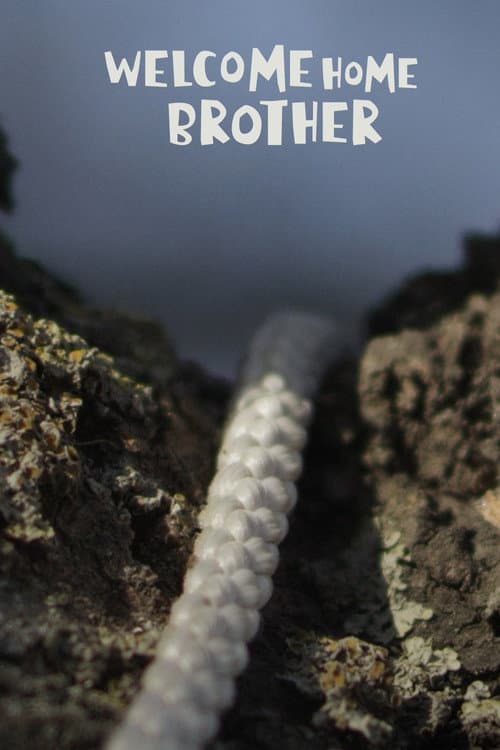 Poster for Welcome home brother