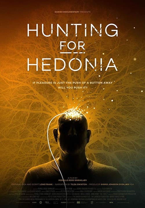 Poster for Hunting for Hedonia