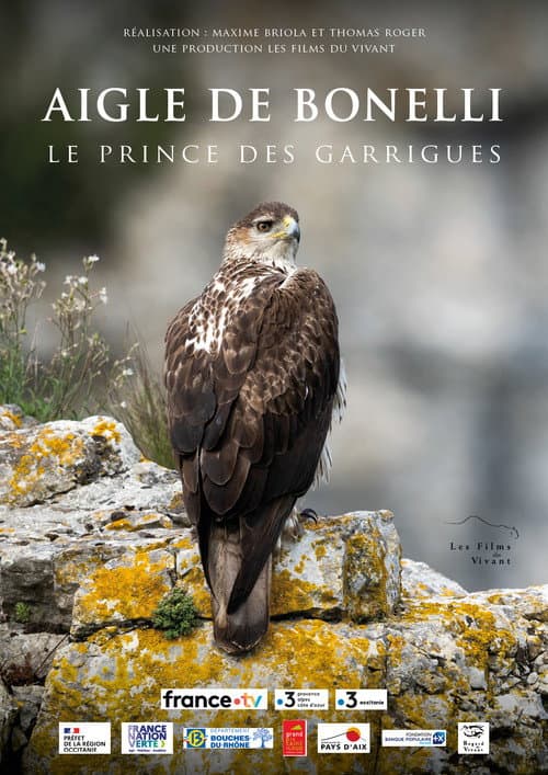 Poster for Aigle de Bonelli, le prince des garrigues