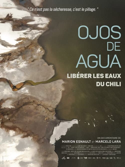 Постер до фільму «Ojos de Agua: Freeing the Waters of Chile»