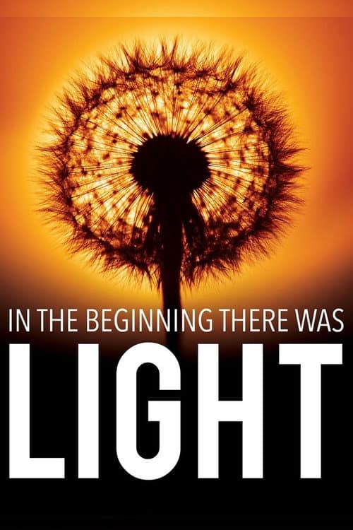 Poster for In the Beginning There Was Light