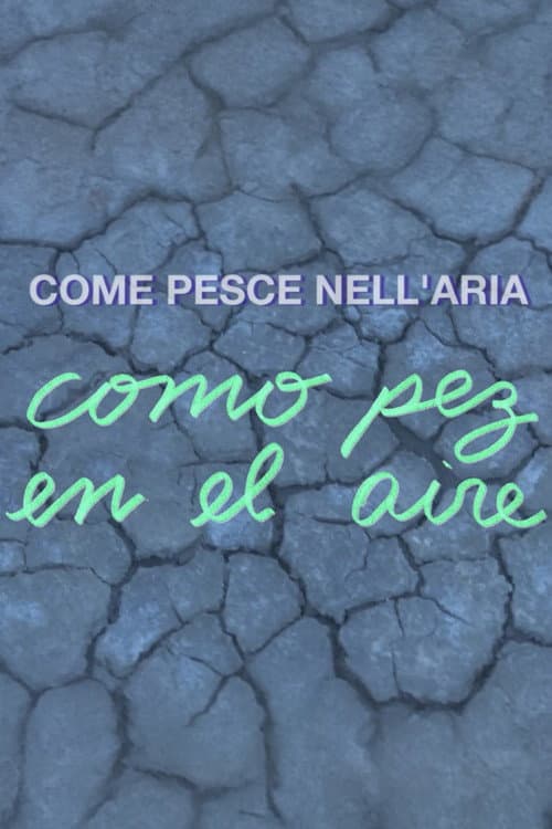 Poster for Como pez en el aire