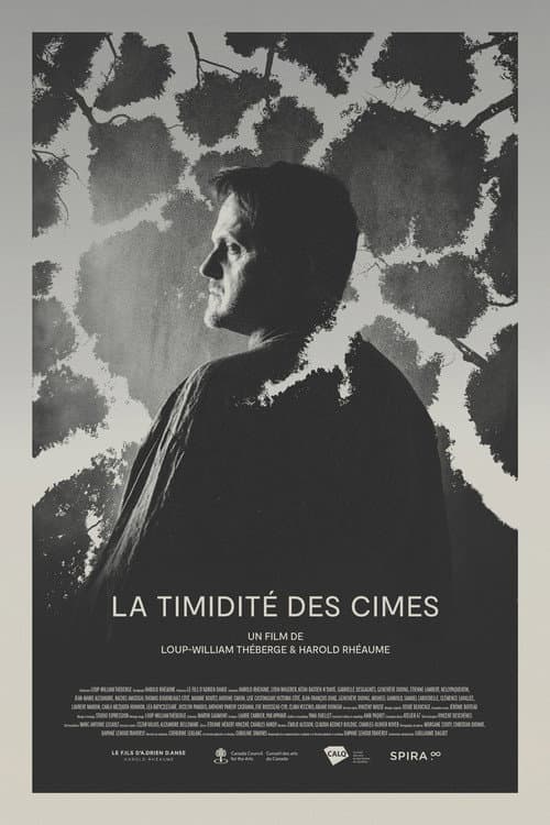 Poster for La Timidité des Cimes