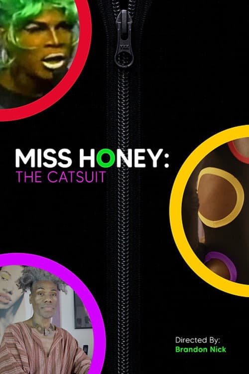 Poster for Miss Honey: The Catsuit