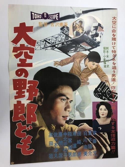 Poster for Reporters from the Sky
