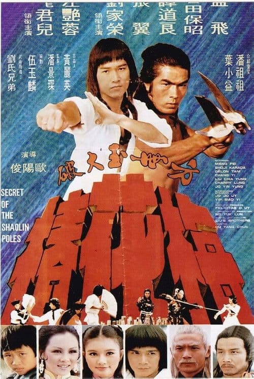 Poster for Secret of the Shaolin Poles