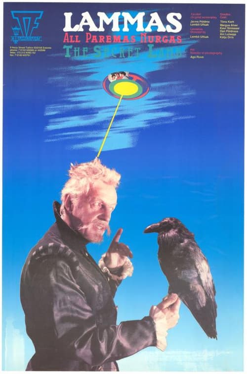 Poster for Lamb in the Down Right Corner