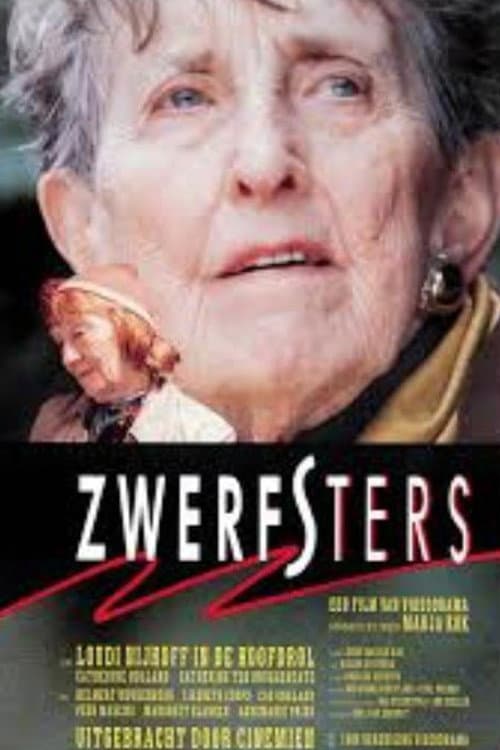 Poster for Zwerfsters