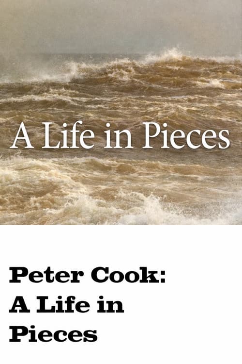 Poster for A Life in Pieces