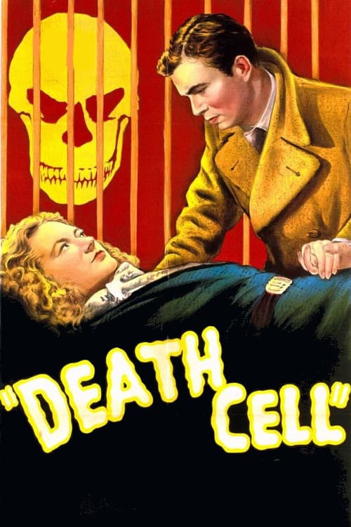 Poster for The Patient Vanishes