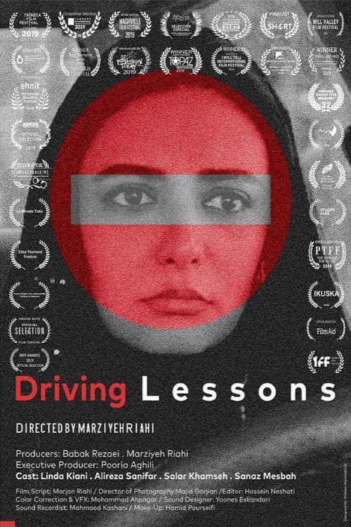 Poster for Driving Lessons