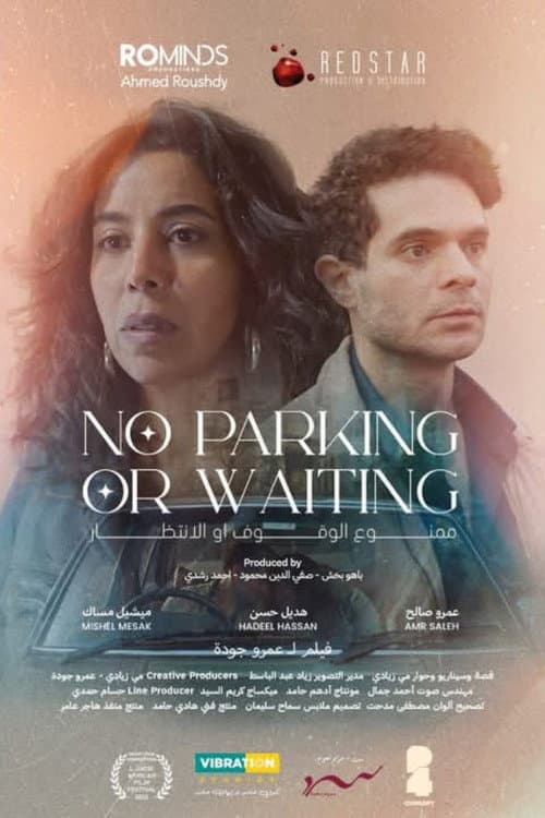 Poster for No Parking or Waiting