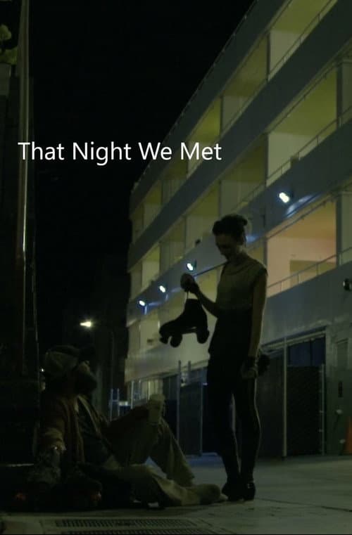 Poster for That Night we Met