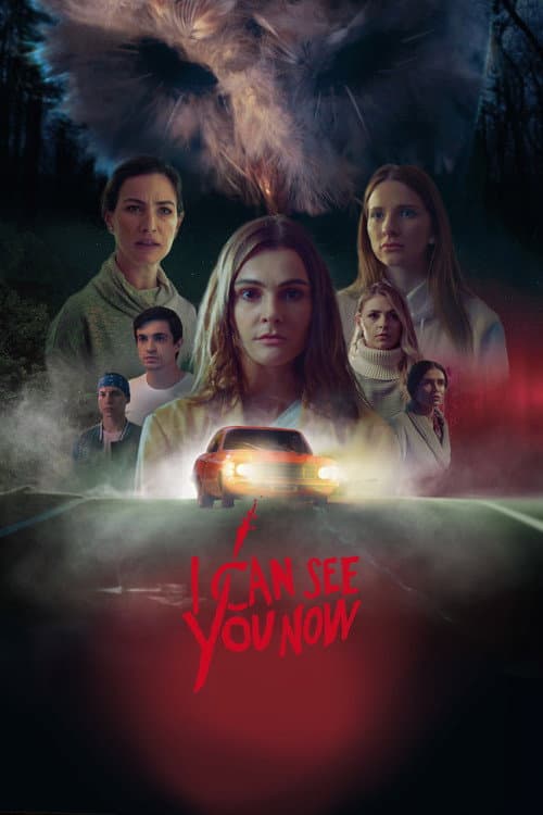 Poster for I Can See You Now