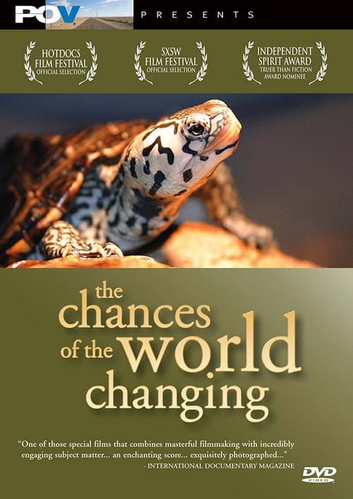 Poster for The Chances of the World Changing