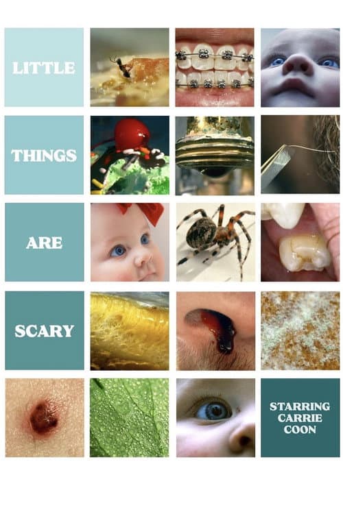 Poster for Little Things Are Scary