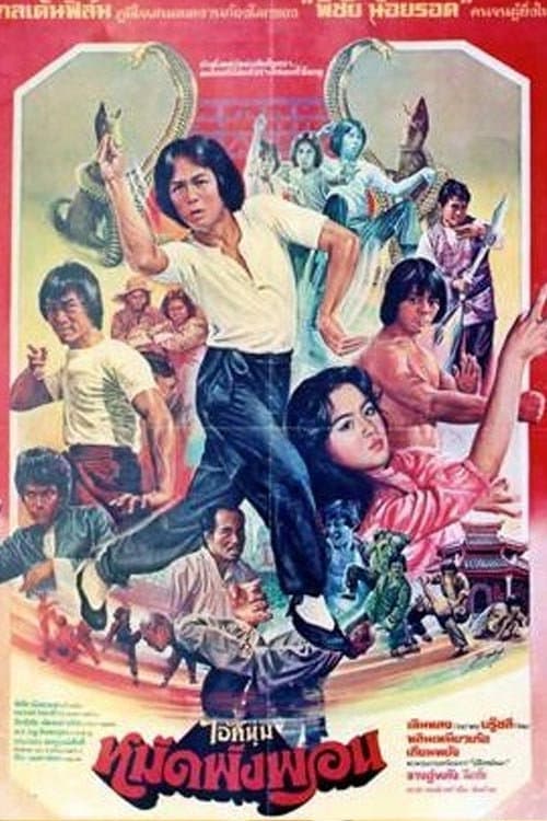 Poster for Fearless Master