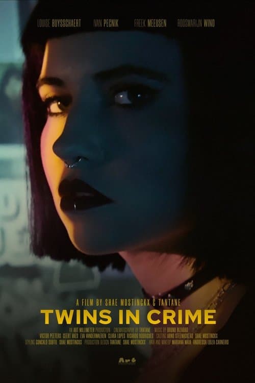Poster for Twins in Crime