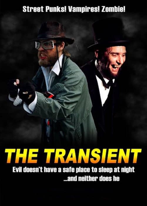 Poster for The Transient