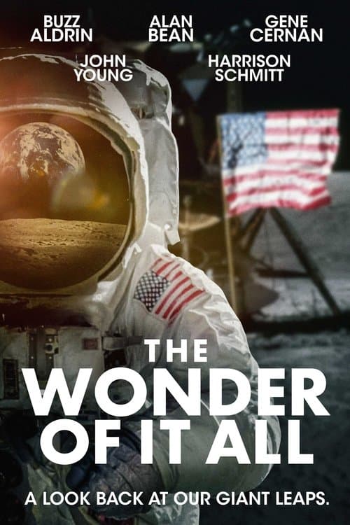 Poster for The Wonder of It All