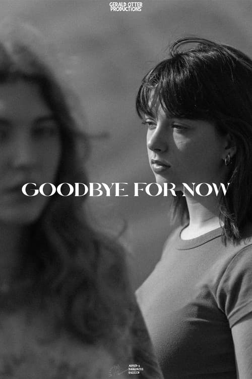 Poster for Goodbye for Now