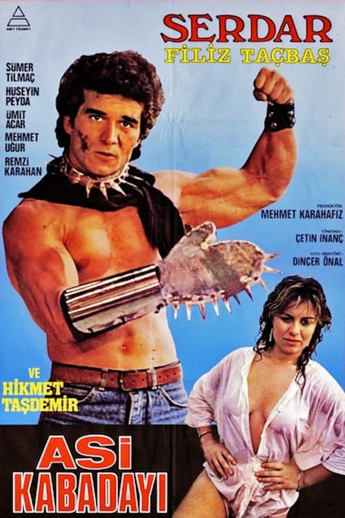 Poster for Asi Kabadayı