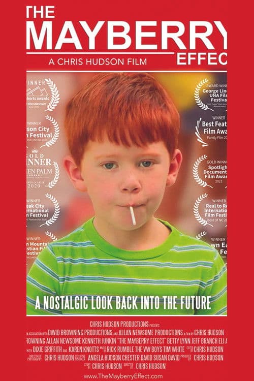 Poster for The Mayberry Effect