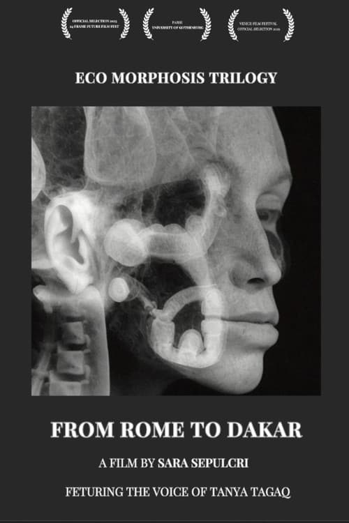 Poster for From Rome to Dakar
