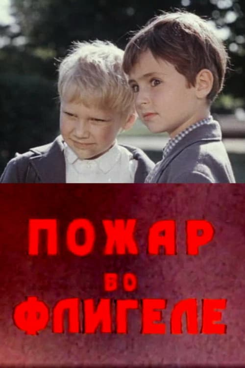 Постер до фільму «Пожежа у флігелі»