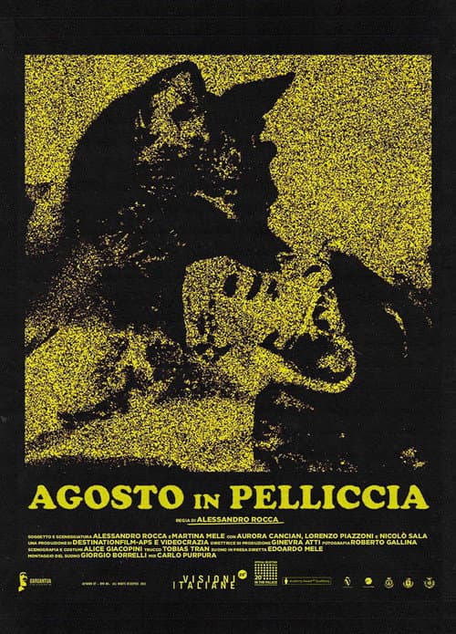 Poster for August in Fur