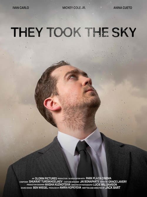 Poster for They Took the Sky