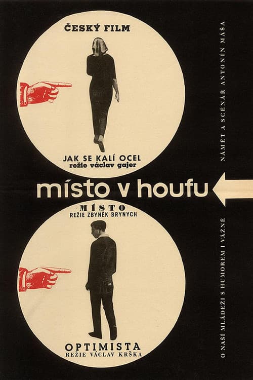 Poster for A Place in the Crowd