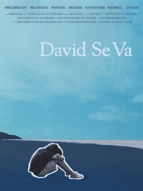 Poster for David Se Va