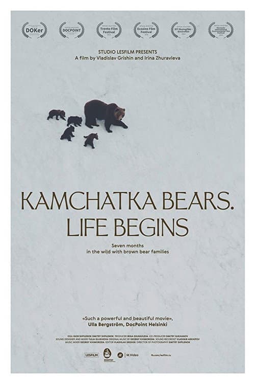 Poster for Kamchatka Bears. Life Begins
